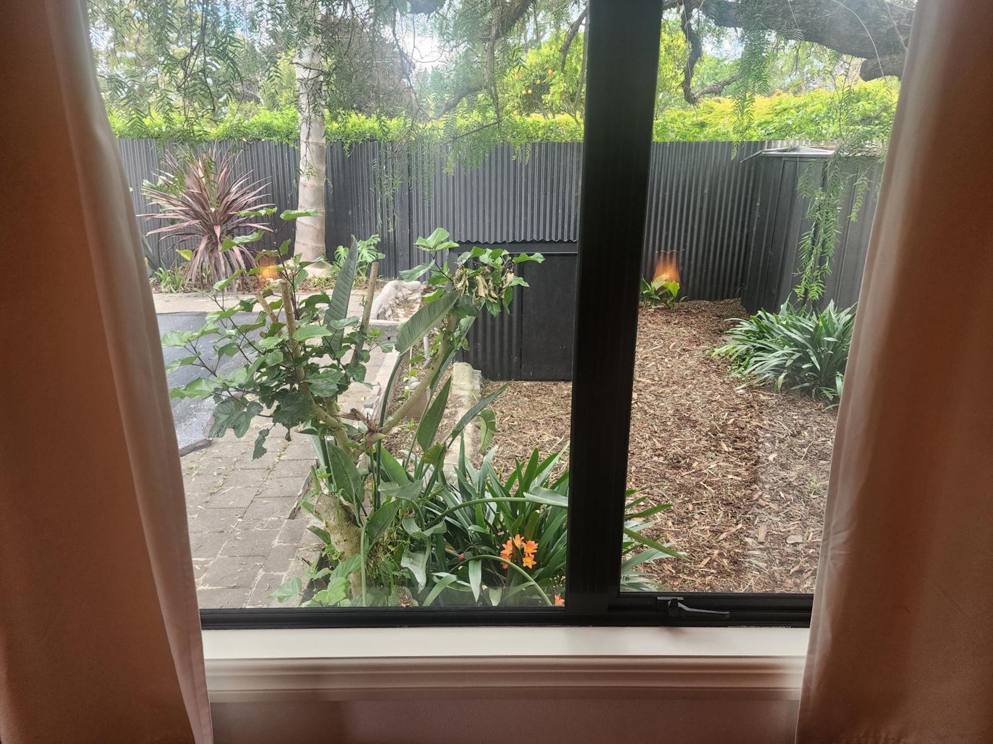 Peppertree Villa Tauranga Exterior photo